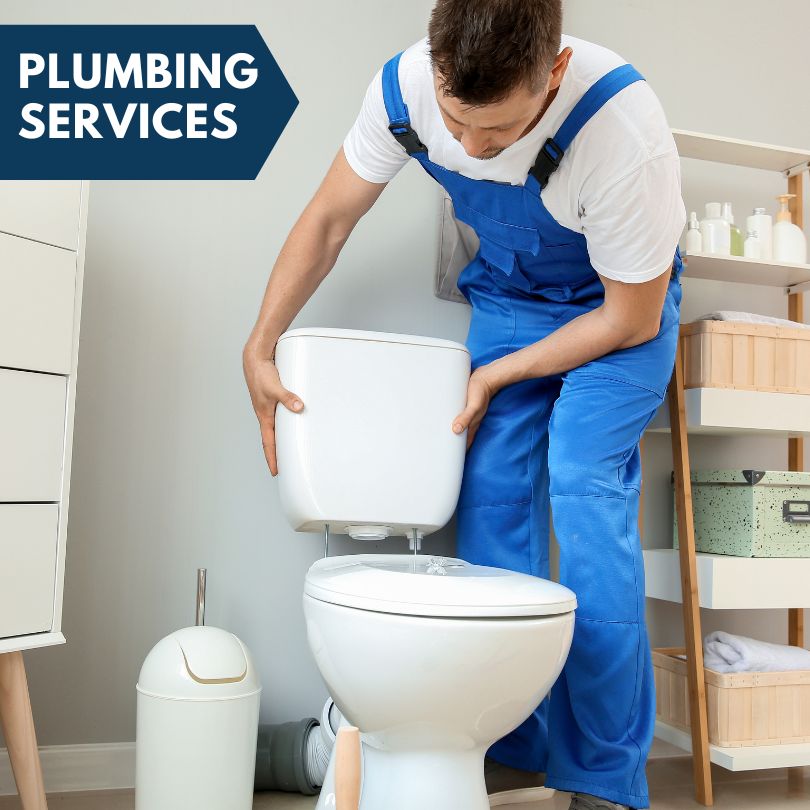 Plumbing Company in Elsie, MI